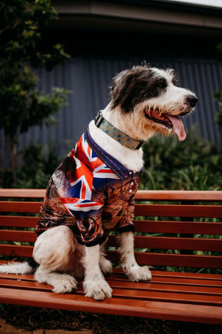 Sun Safe Dog Shirt - My Country Australia - Design Works Apparel - Create Your Vibe Outdoors sun protection