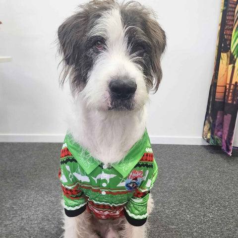 Sun Safe Pet Shirt - Ugly Christmas Catch - Design Works Apparel sun protection