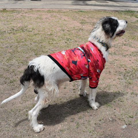 Sun Safe Dog Shirts - Bin Chicken Ugly Christmas - Design Works Apparel - Create Your Vibe Outdoors sun protection
