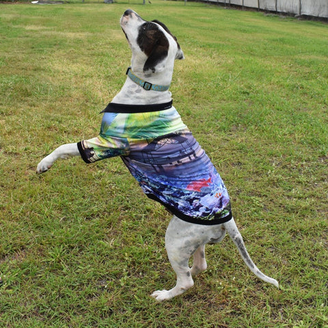 Sun Safe Dog Shirts - Design Works - Design Works Apparel - Create Your Vibe Outdoors sun protection