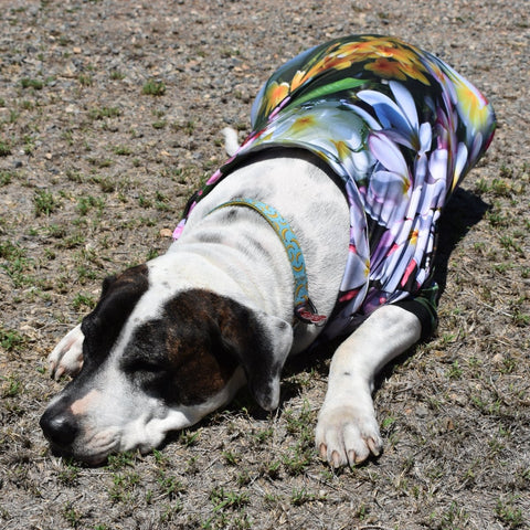 Sun Safe Dog Shirts - Frangipani - Design Works Apparel - Create Your Vibe Outdoors sun protection