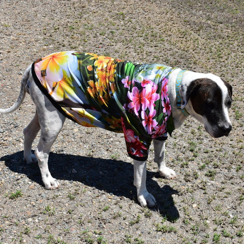 Sun Safe Dog Shirts - Frangipani - Design Works Apparel - Create Your Vibe Outdoors sun protection