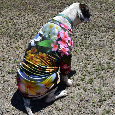 Sun Safe Dog Shirts - Frangipani - Design Works Apparel - Create Your Vibe Outdoors sun protection