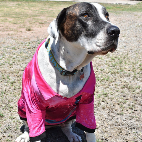 Sun Safe Dog Shirts - Mermaids - Design Works Apparel - Create Your Vibe Outdoors sun protection