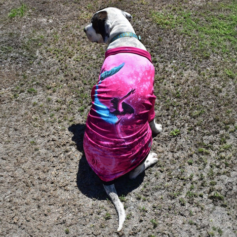 Sun Safe Dog Shirts - Mermaids - Design Works Apparel - Create Your Vibe Outdoors sun protection