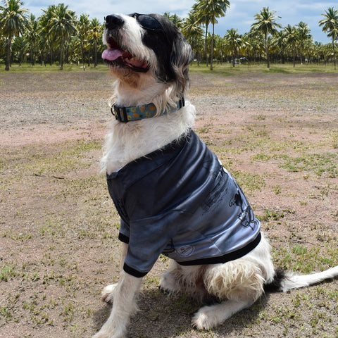 Sun Safe Dog Shirts - Salty Dog - Design Works Apparel - Create Your Vibe Outdoors sun protection