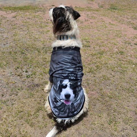Sun Safe Dog Shirts - Salty Dog - Design Works Apparel - Create Your Vibe Outdoors sun protection