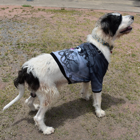 Sun Safe Dog Shirts - Salty Dog - Design Works Apparel - Create Your Vibe Outdoors sun protection